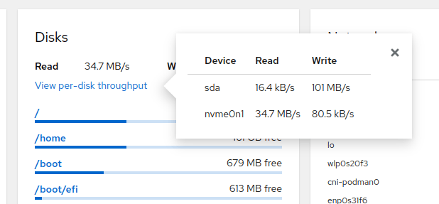 screenshot of display individual disk read/write usage